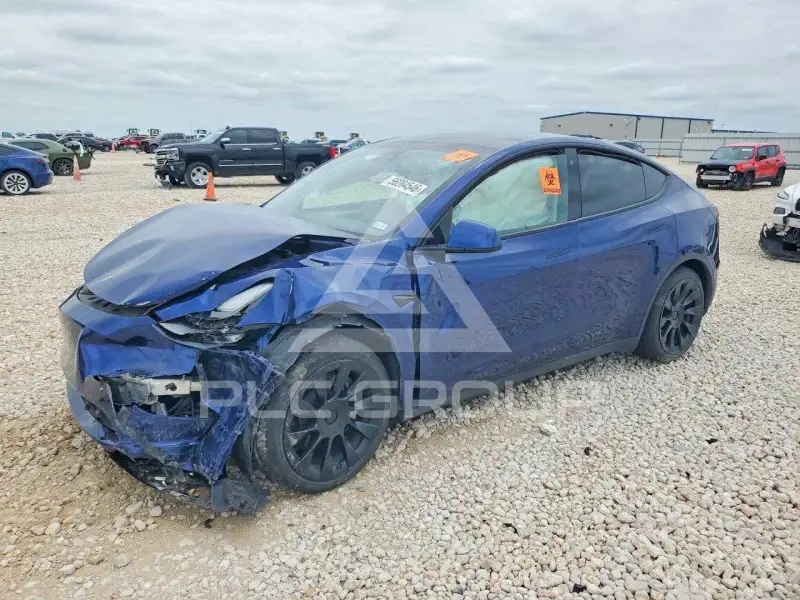 2023 Tesla Model Y фото