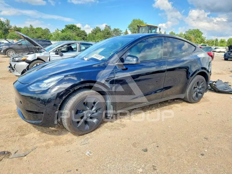 2023 Tesla Model Y photo