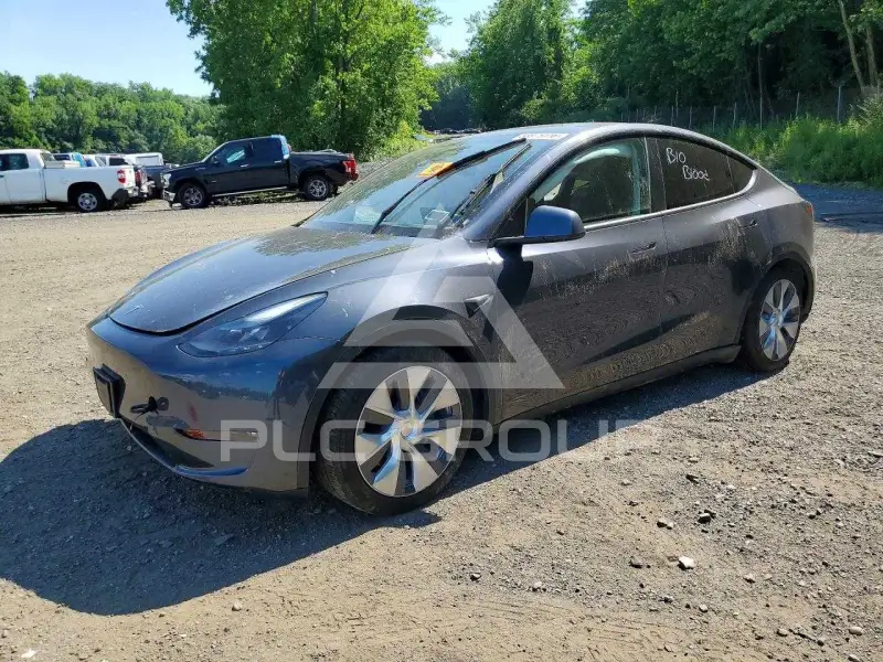 沛斯拉ページ 2023 Tesla Model Y VIN: 7SAYGDEEXPA042391 из США - PLC Group