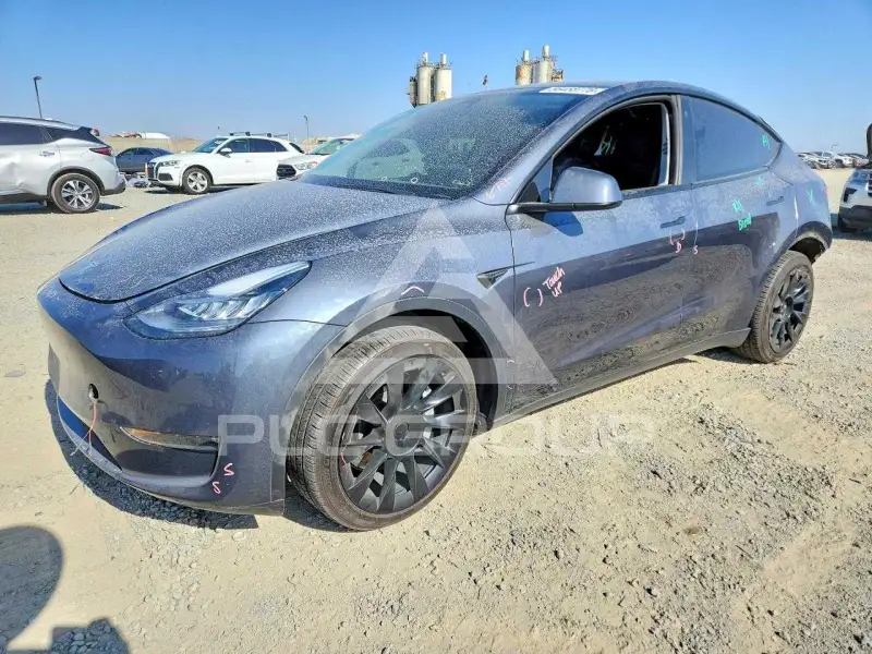 2023 Tesla Model Y фото