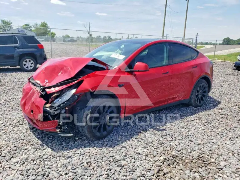 2023 Tesla Model Y фото