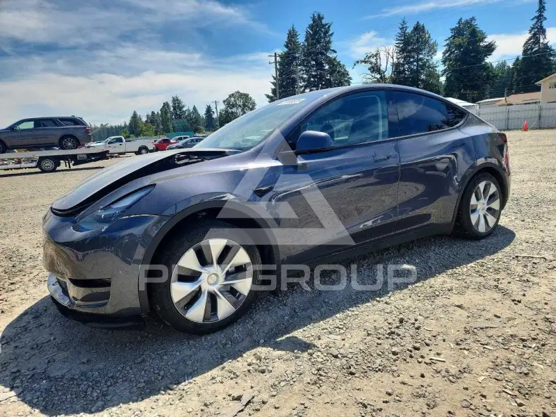2023 Tesla Model Y фото
