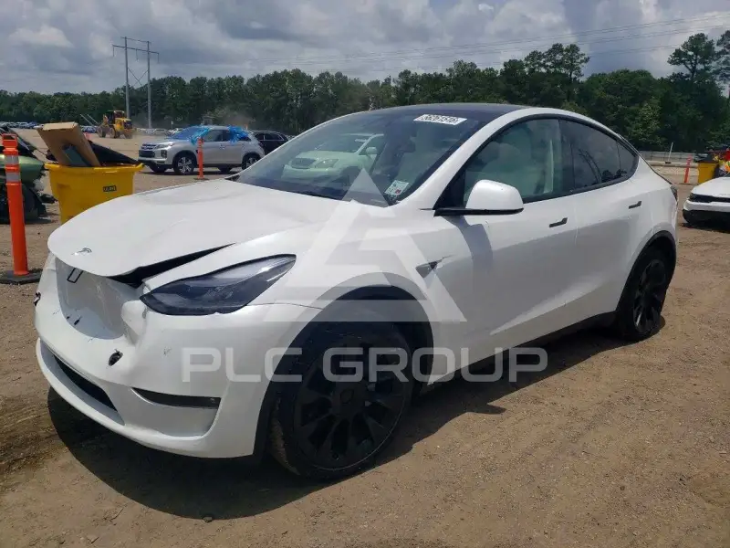 2023 Tesla Model Y photo