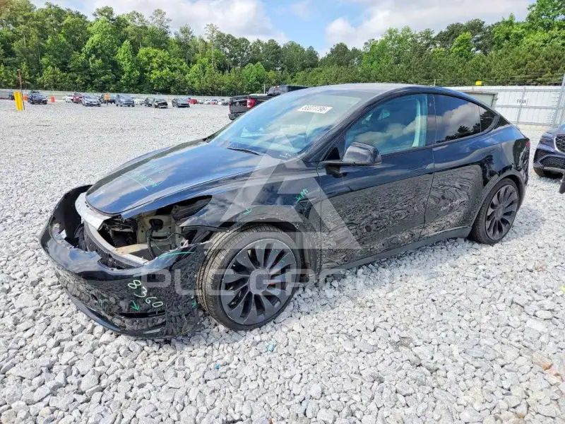 2023 Tesla Model Y фото
