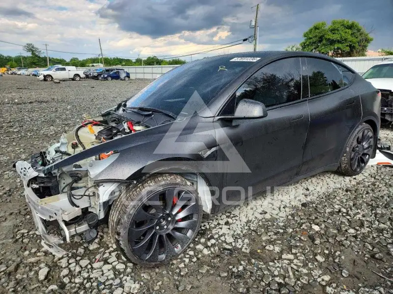 2023 Tesla Model Y фото
