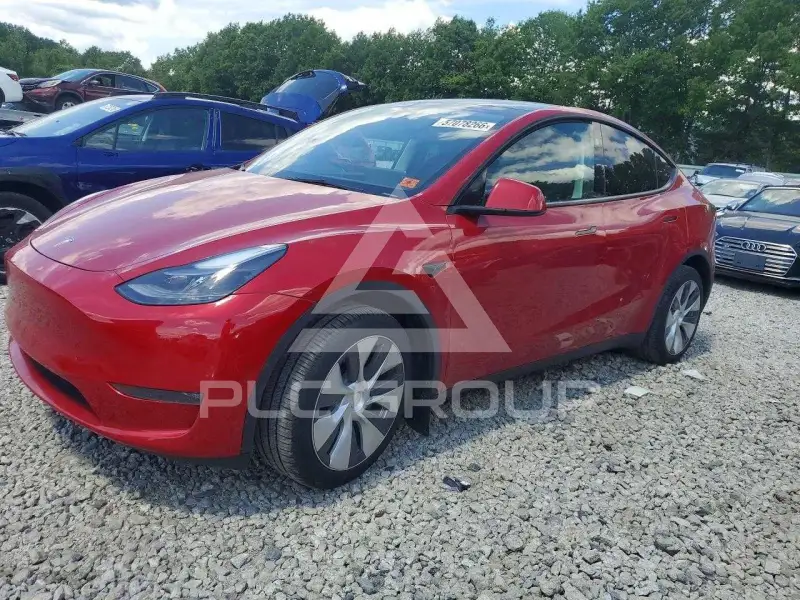 2023 Tesla Model Y фото