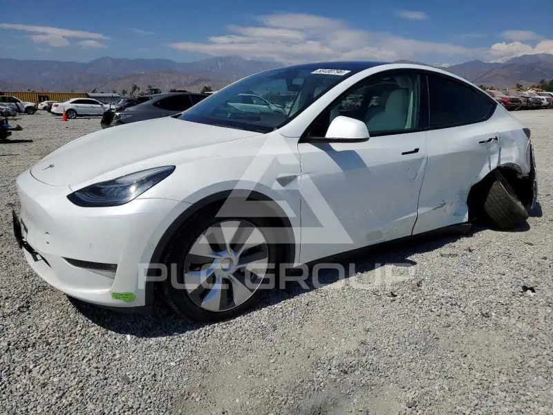 2023 Tesla Model Y фото