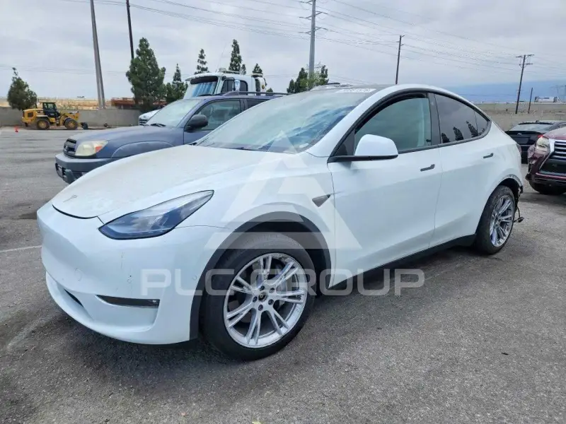 2023 Tesla Model Y фото