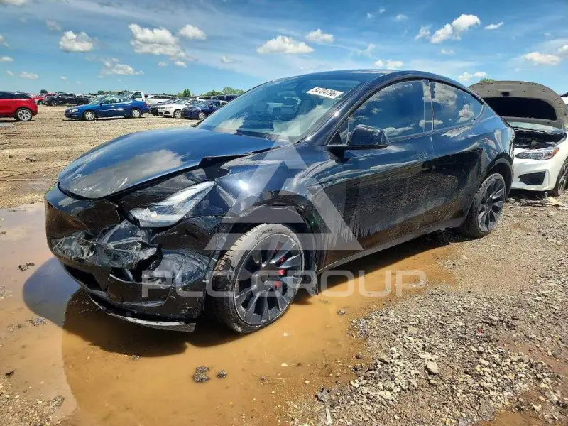 2023 Tesla Model Y photo