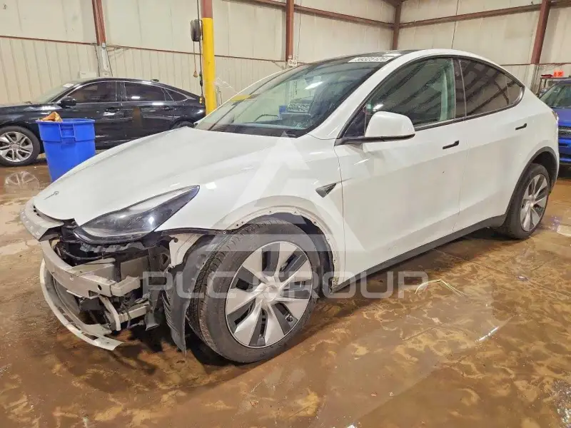 2023 Tesla Model Y фото