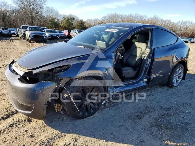 2023 Tesla Model Y фото