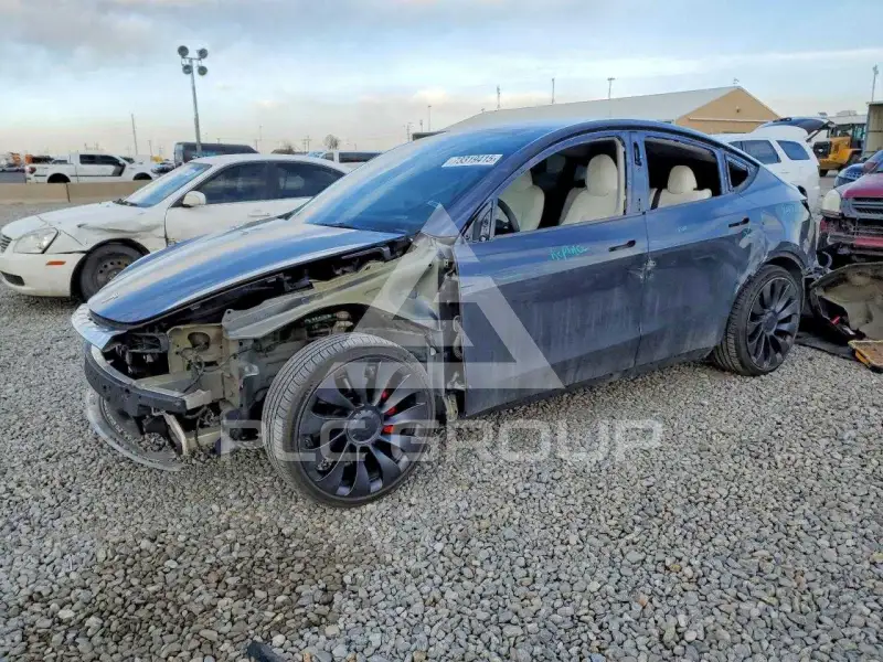2023 Tesla Model Y фото