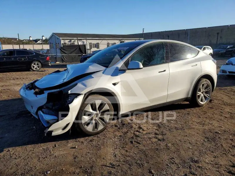 2023 Tesla Model Y photo