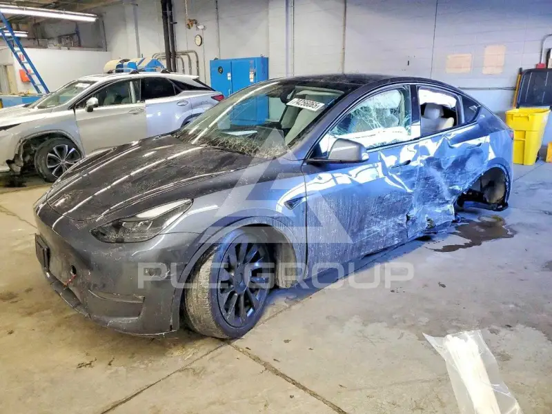 2023 Tesla Model Y фото
