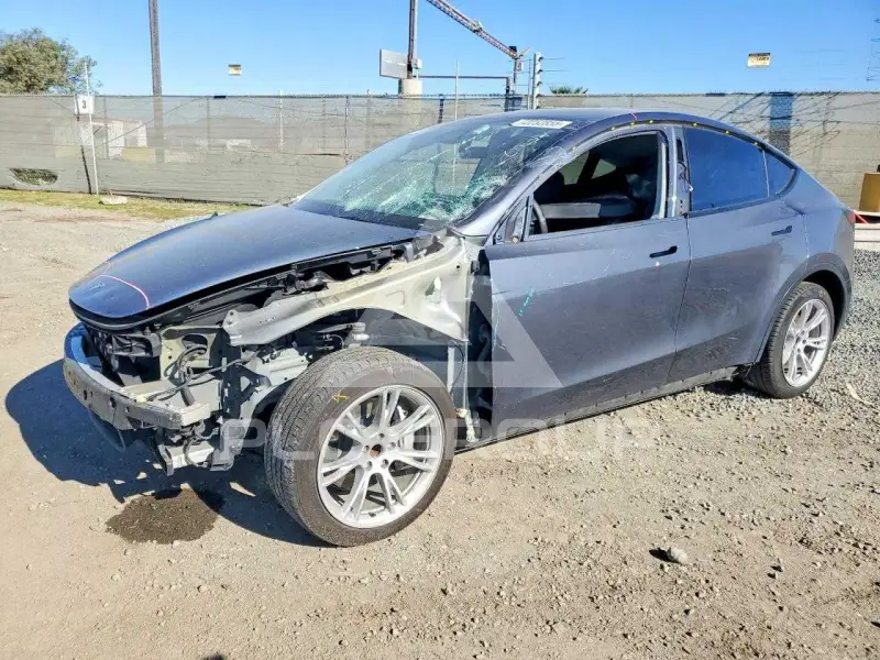 2023 Tesla Model Y фото