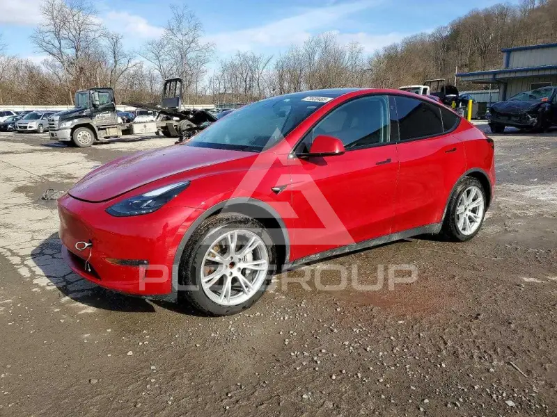 2023 Tesla Model Y фото