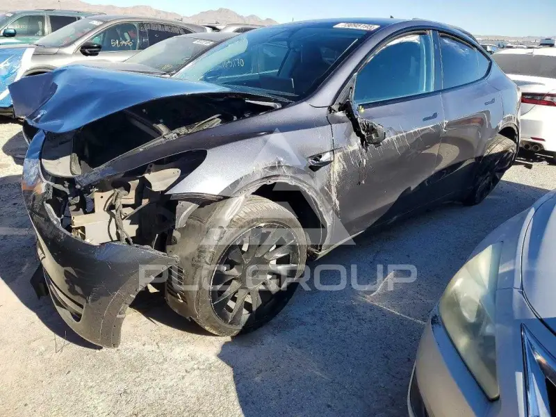 2023 Tesla Model Y фото