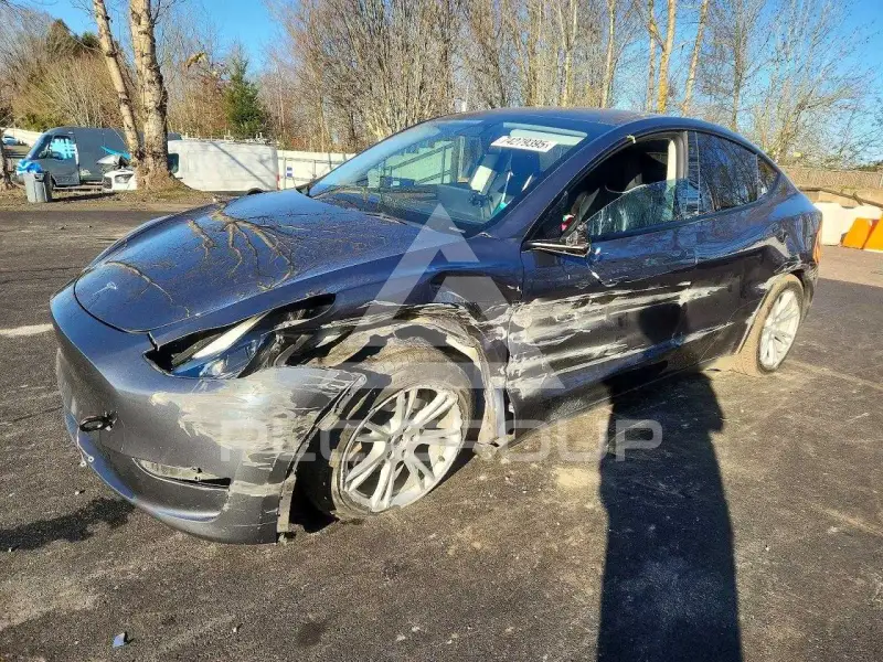 2023 Tesla Model Y фото