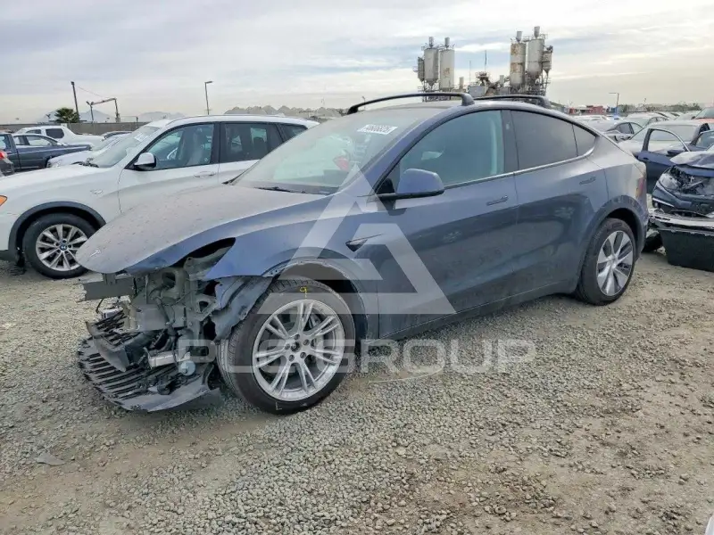 2023 Tesla Model Y фото