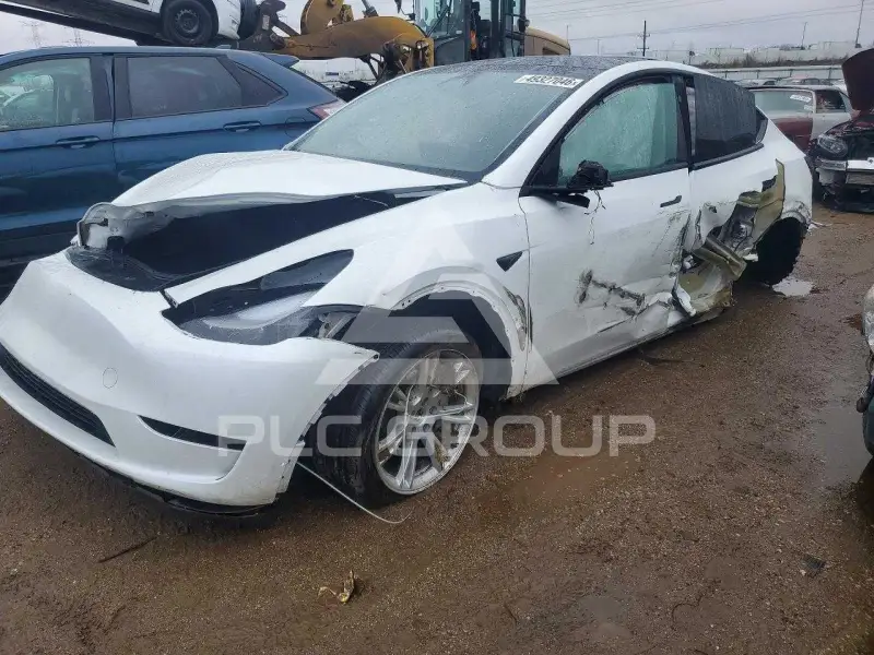 2023 Tesla Model Y photo
