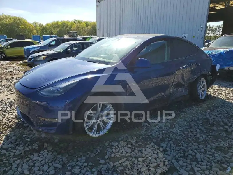 2023 Tesla Model Y фото