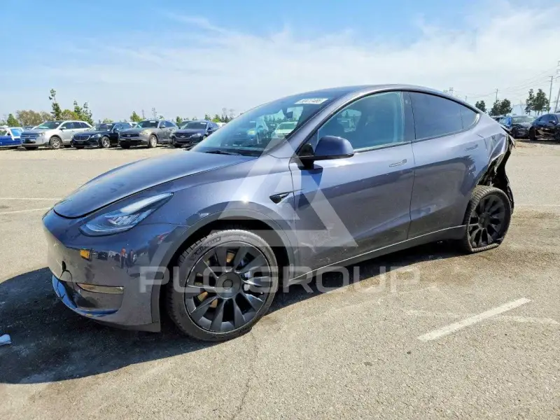 2023 Tesla Model Y photo