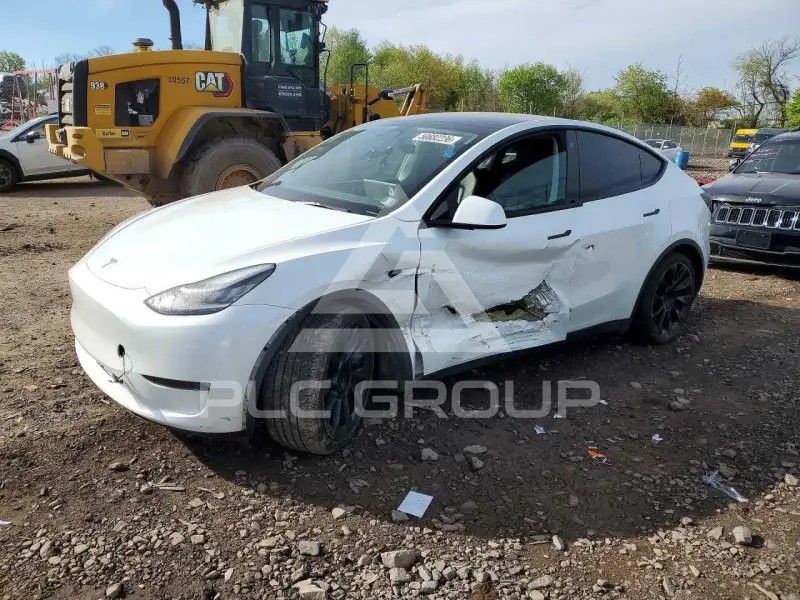 2023 Tesla Model Y photo
