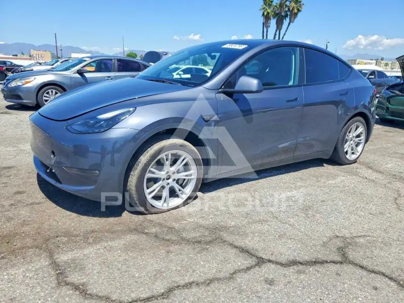 2023 Tesla Model Y фото