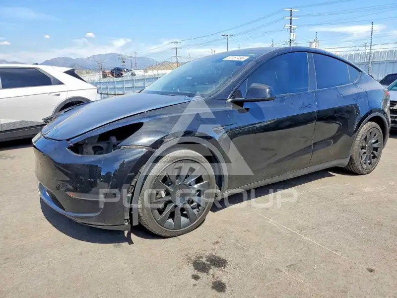 2023 Tesla Model Y photo