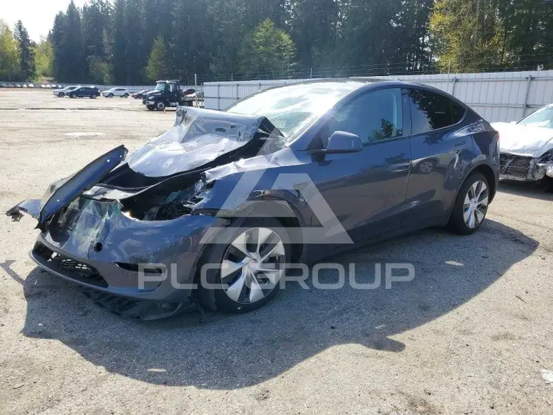 2023 Tesla Model Y photo