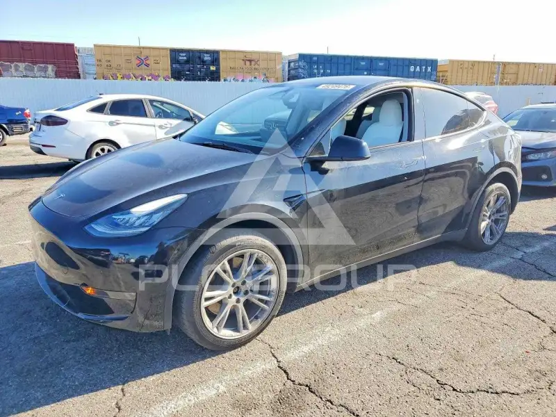 2023 Tesla Model Y photo