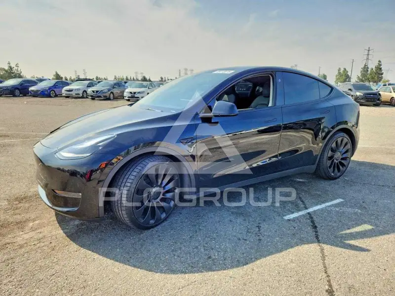 2023 Tesla Model Y фото