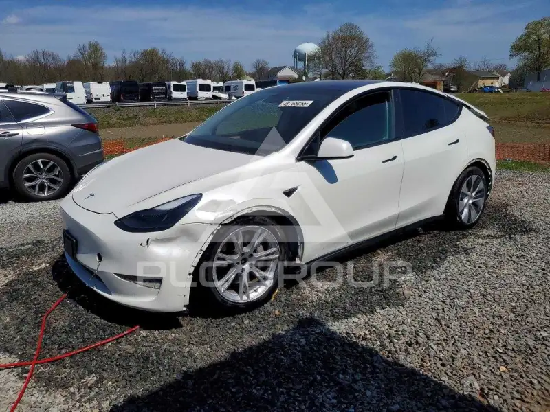 2023 Tesla Model Y photo