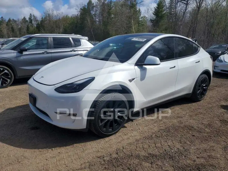 2023 Tesla Model Y фото