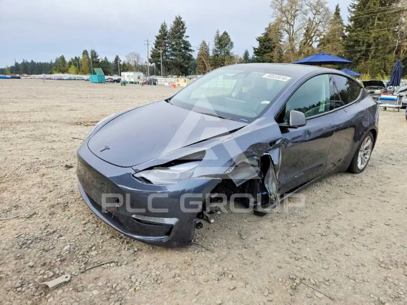 2023 Tesla Model Y фото
