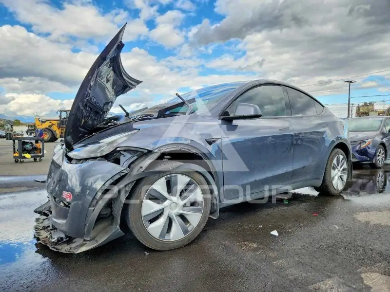 2023 Tesla Model Y фото
