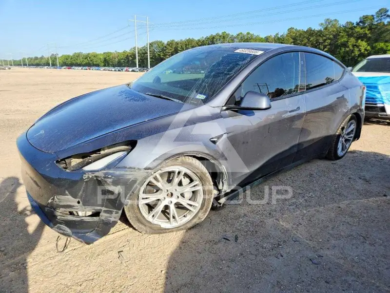 2023 Tesla Model Y photo
