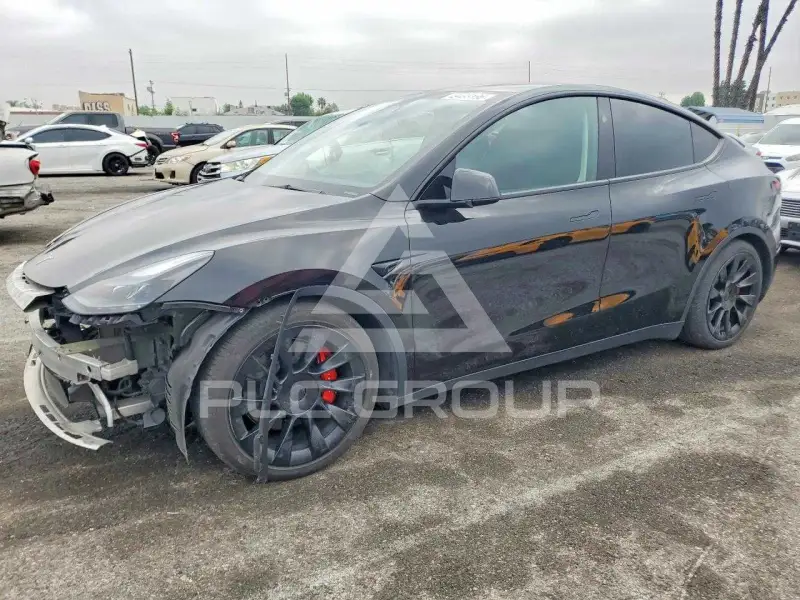 2023 Tesla Model Y фото