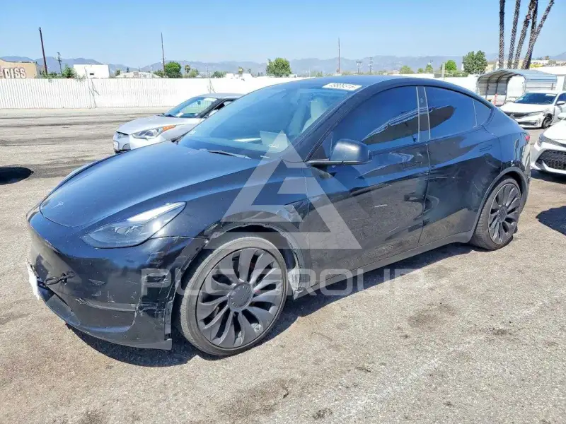 2023 Tesla Model Y фото