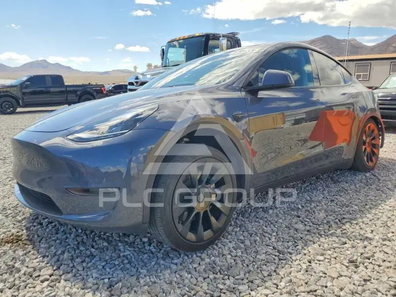 2023 Tesla Model Y фото