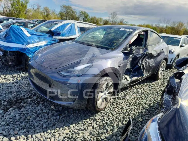 2023 Tesla Model Y фото