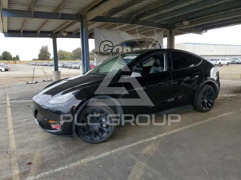 2023 Tesla Model Y фото