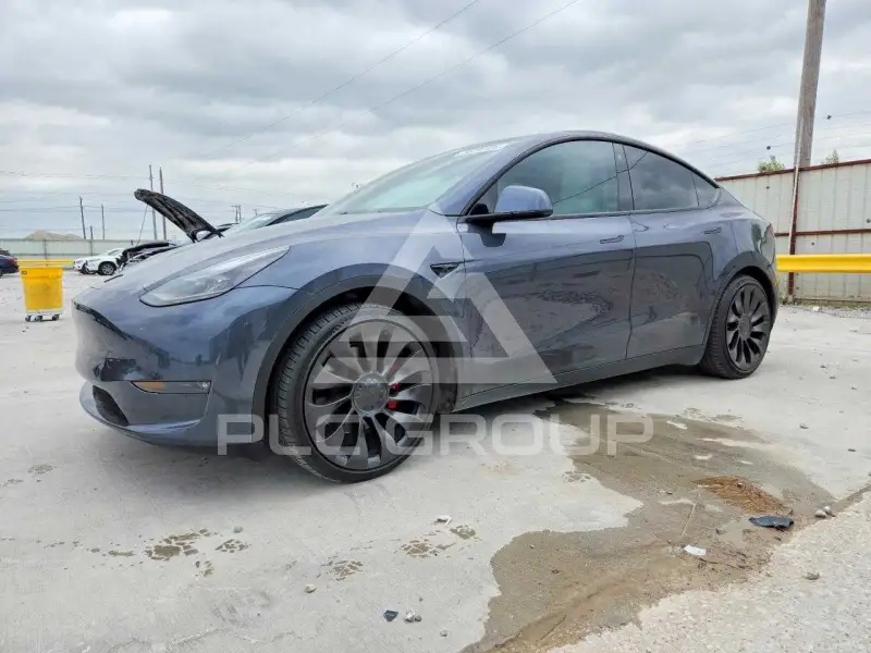 2023 Tesla Model Y фото