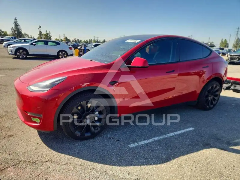 2023 Tesla Model Y photo