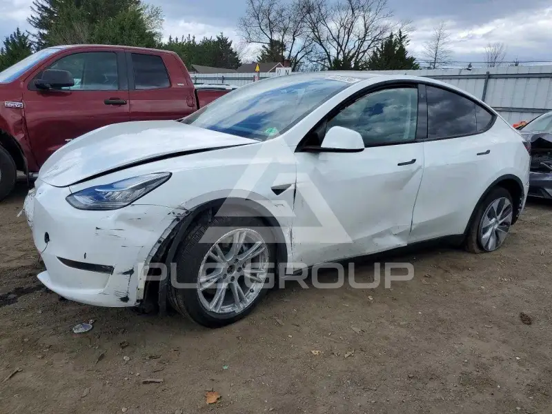 2023 Tesla Model Y photo