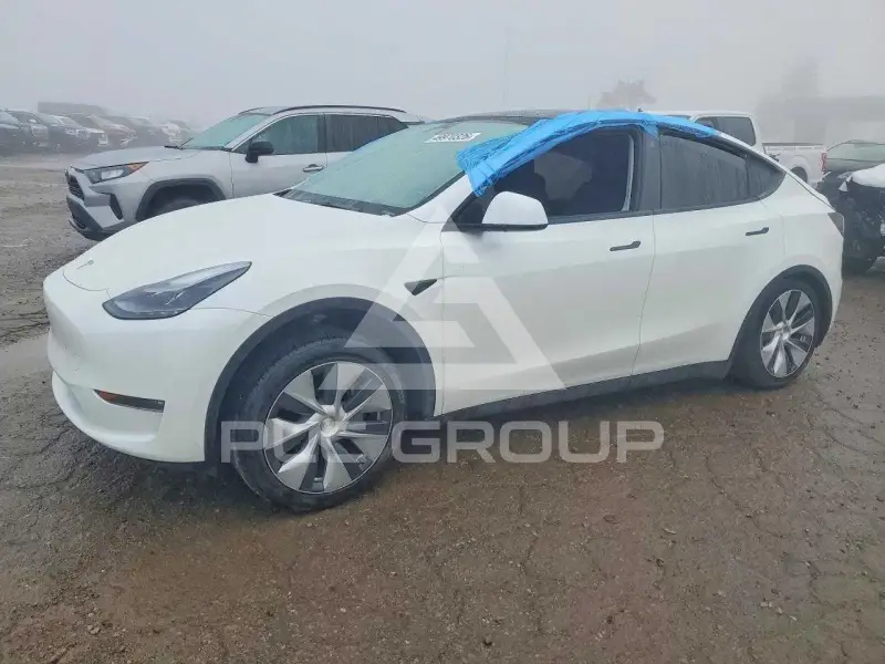 2023 Tesla Model Y фото
