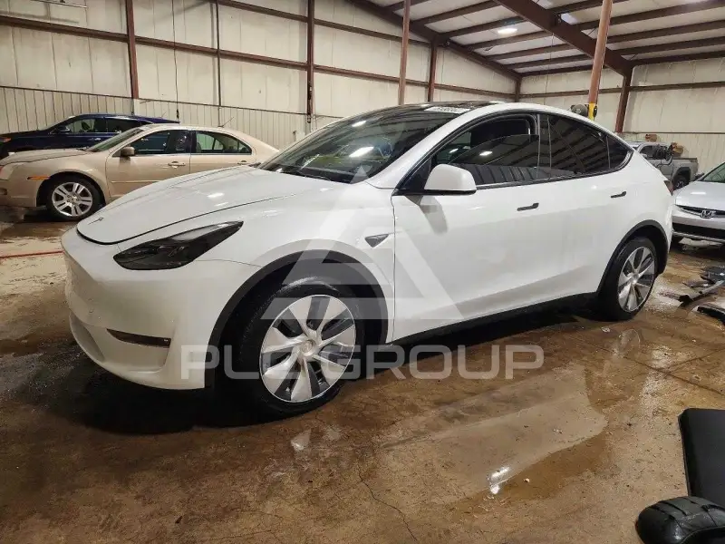 2023 Tesla Model Y photo