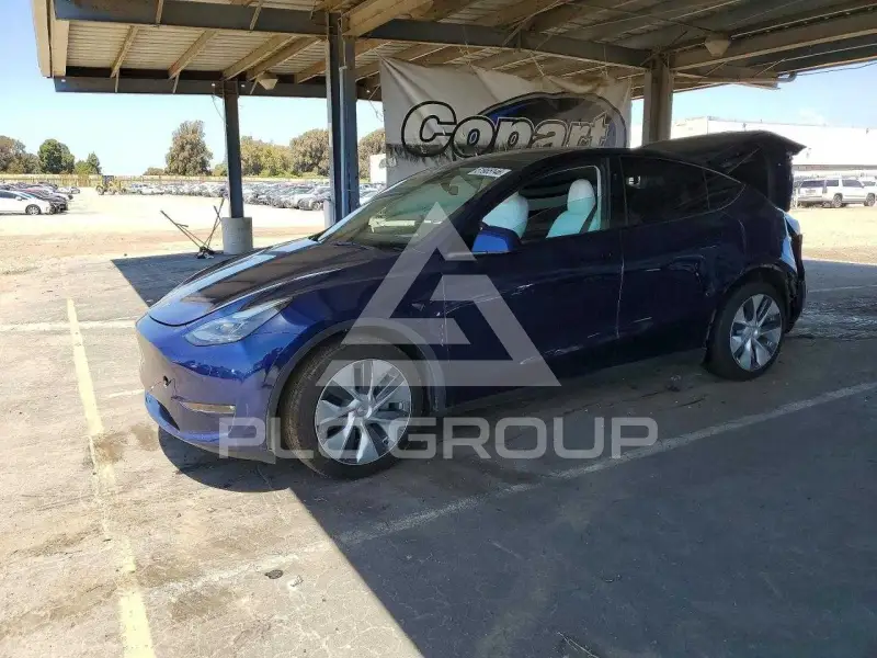 2023 Tesla Model Y photo