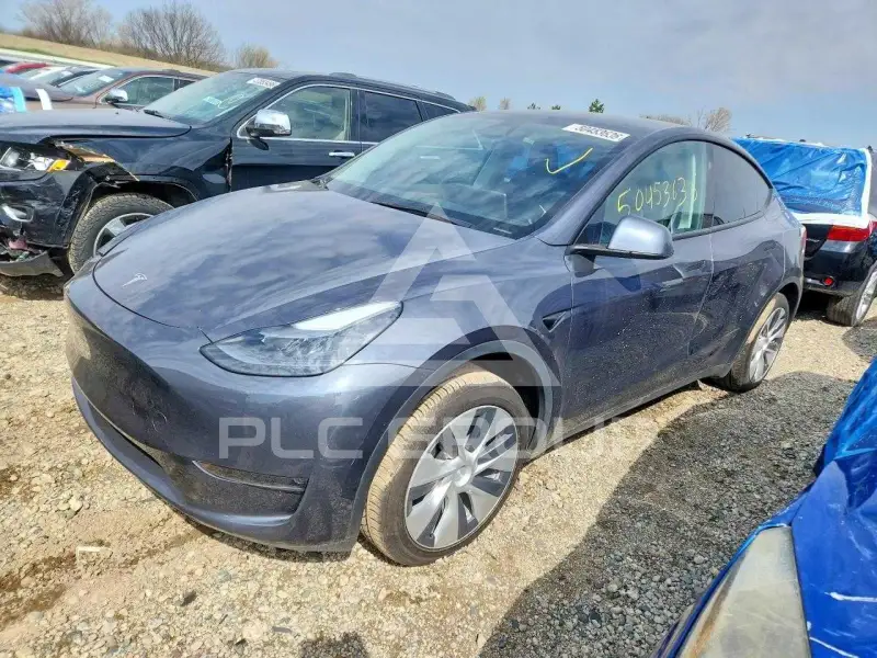 2023 Tesla Model Y фото