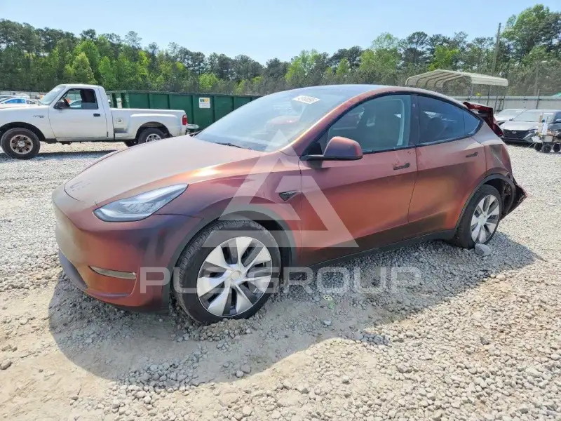 2023 Tesla Model Y фото